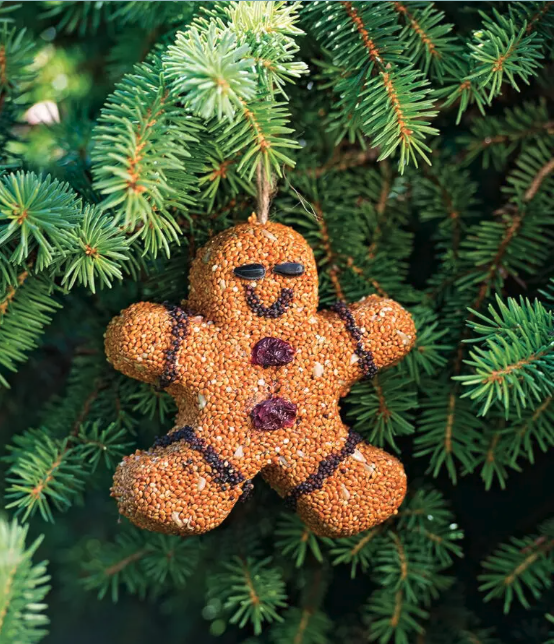 Bird Seed Ornament